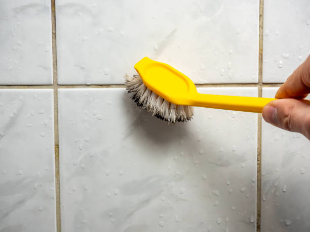 Best Emergency Mold Remediation in Farmville, NC