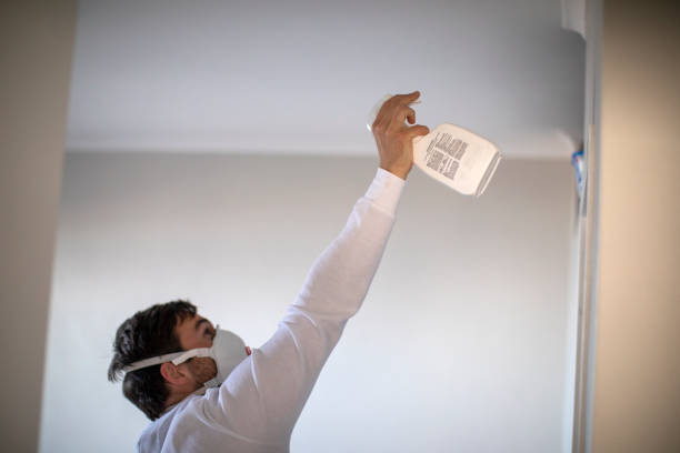 Best Localized Mold Remediation (e.g., coastal areas, humid climates) in Farmville, NC