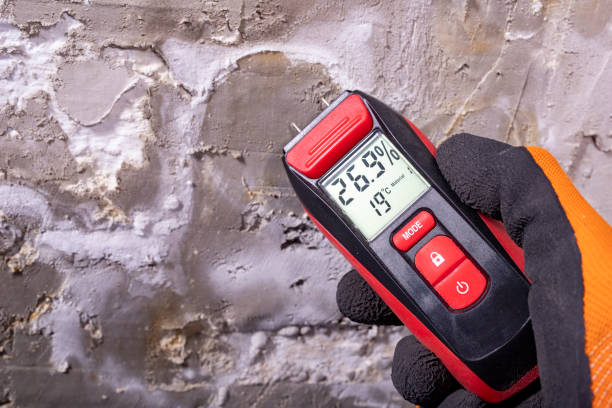 Best Black Mold Remediation in Farmville, NC