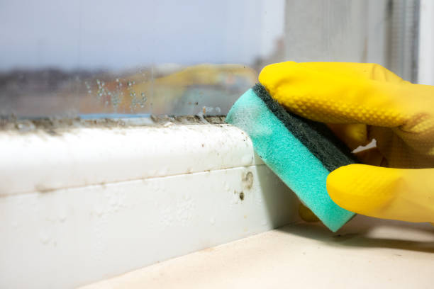 Best Industrial Mold Remediation in Farmville, NC